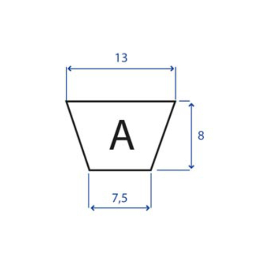 205.A19